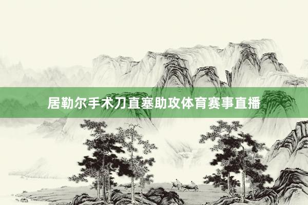 居勒尔手术刀直塞助攻体育赛事直播