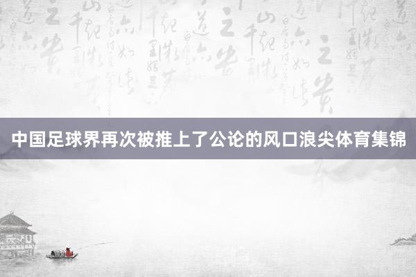 中国足球界再次被推上了公论的风口浪尖体育集锦