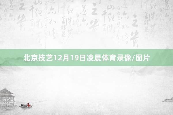 北京技艺12月19日凌晨体育录像/图片