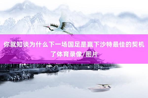 你就知谈为什么下一场国足是赢下沙特最佳的契机了体育录像/图片