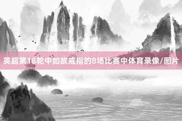 英超第18轮中如故戒指的8场比赛中体育录像/图片