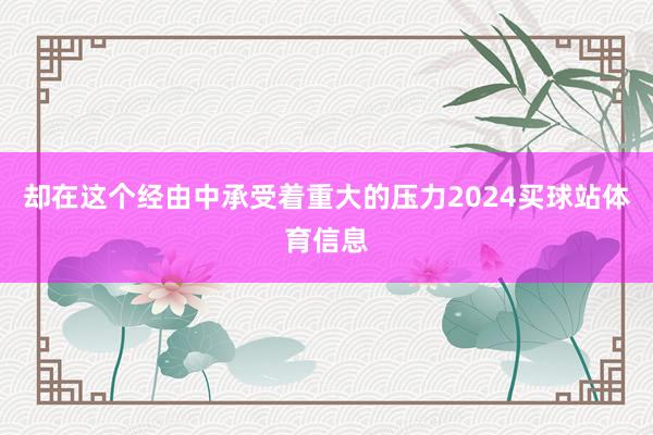 却在这个经由中承受着重大的压力2024买球站体育信息