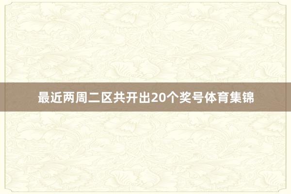 最近两周二区共开出20个奖号体育集锦