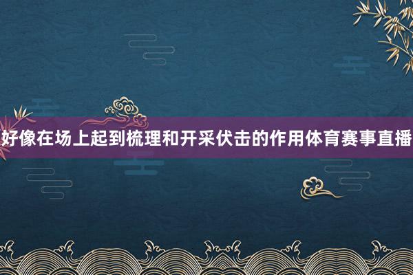 好像在场上起到梳理和开采伏击的作用体育赛事直播